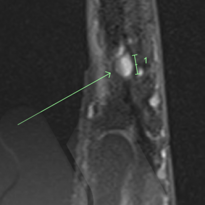 Screen Shot 2020-06-01 at 5.50.25 pm